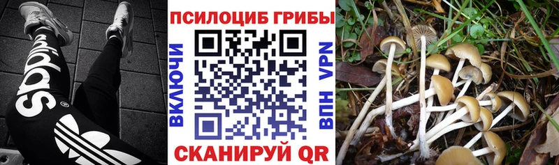 Галлюциногенные грибы мухоморы  Верхотурье 
